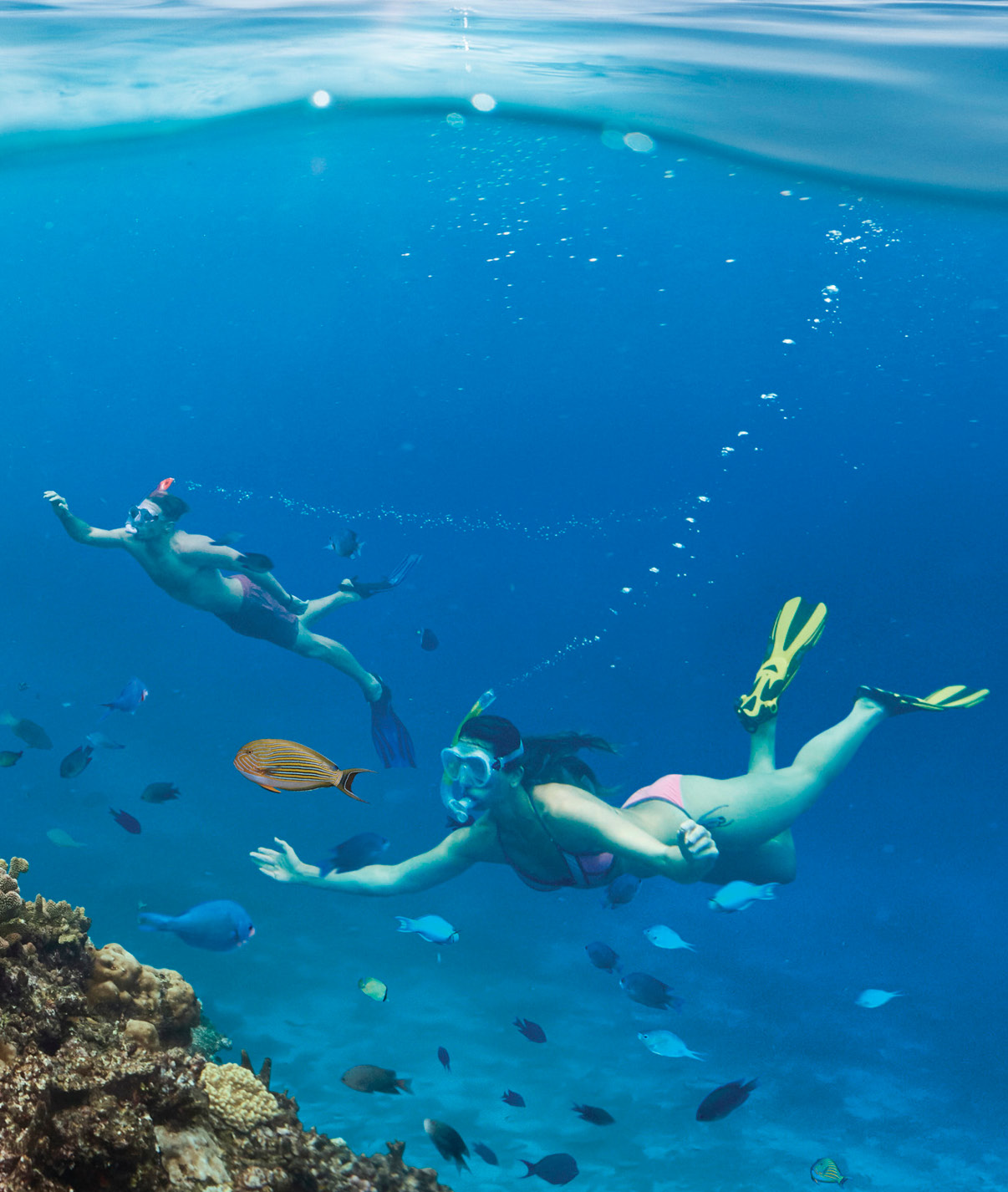 Bula! Experience Snorkelling in Fiji The Official Travel Site of the